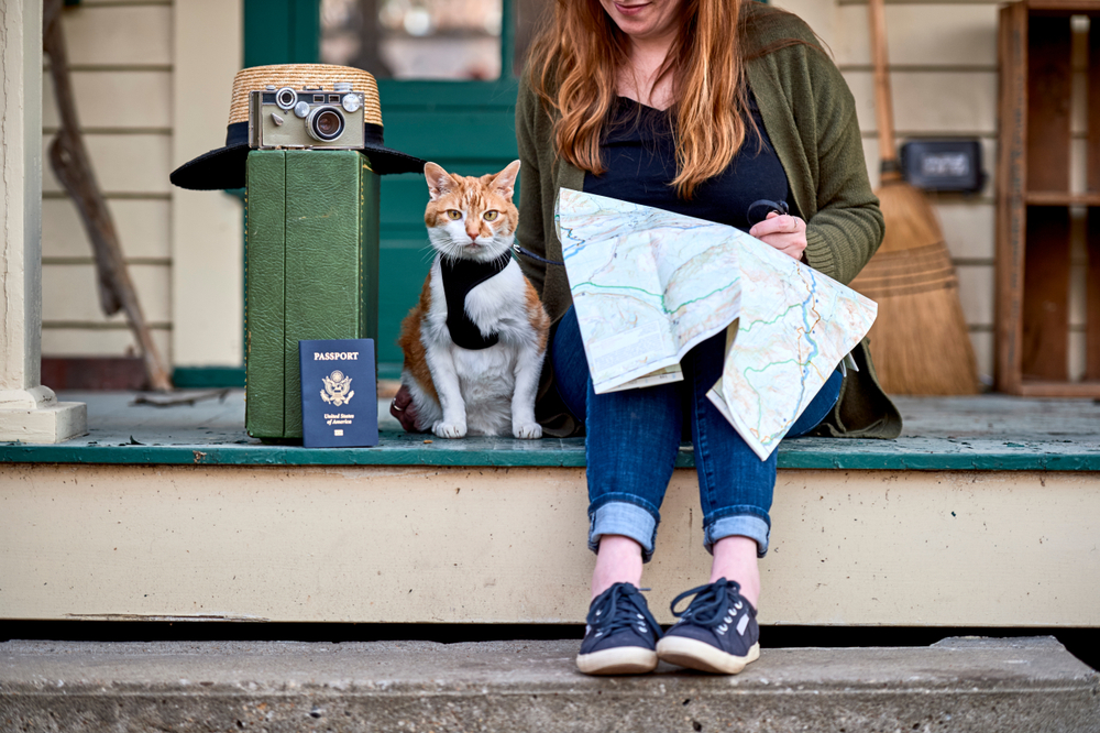 A person with long hair dressed in a dark shirt, jeans, and a green cardigan is sitting on a porch holding a map. Next to them is an orange and white cat wearing a harness, possibly ready for the vet, along with a passport, vintage camera, and suitcase topped with a straw hat.