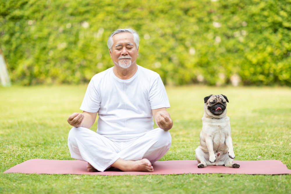 An elderly man dressed in white sits cross-legged on a yoga mat with his eyes closed, appearing calm and relaxed. Next to him, a pug is sitting upright on the mat, mirroring his position. They are outdoors on a grassy lawn with a green, leafy background, likely under their watchful veterinarian's advice.