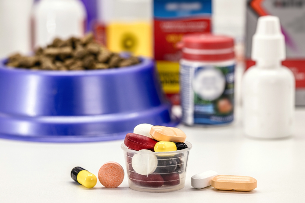 A small container holds various colorful pills and capsules on a white surface. In the background, there is a purple pet food bowl, pet medication bottles, and a white spray bottle blurred out.